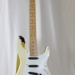 Partscaster Carvin Pickups