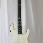 Homemade Body, Stewmac Neck