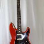 Fender Big Apple with USA Custom Guitar Neck